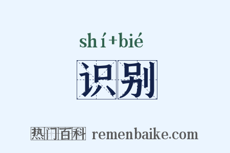识别是什么意思的图片